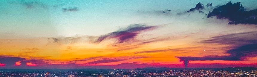 阳谷茶虫网_阳谷品茶